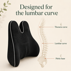 Sto Lumbar Support